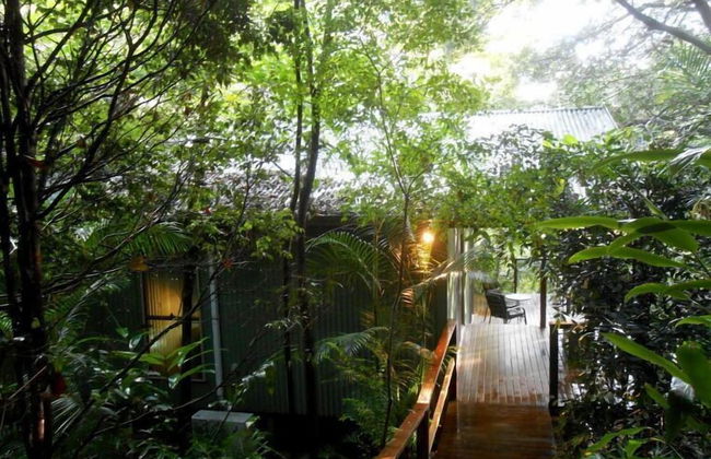 Treetops Accommodation Montville - Foto 64