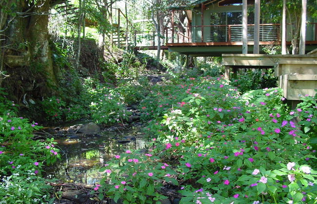 Treetops Accommodation Montville - Foto 5