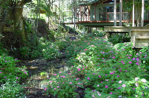 Photo 5 - Treetops Accommodation Montville