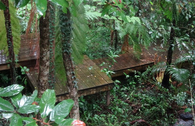 Treetops Accommodation Montville - Foto 55