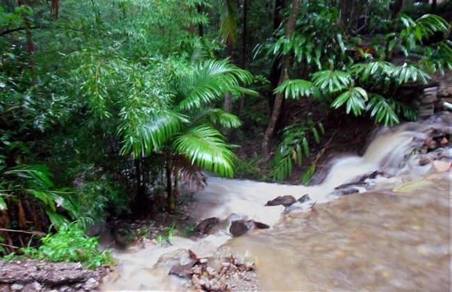 Treetops Accommodation Montville - Foto 66