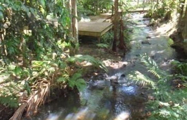 Treetops Accommodation Montville - Foto 62