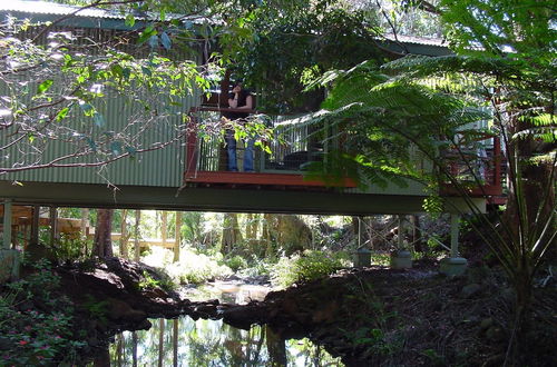 Photo 50 - Treetops Accommodation Montville