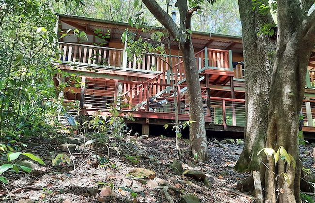Treetops Accommodation Montville - Foto 46