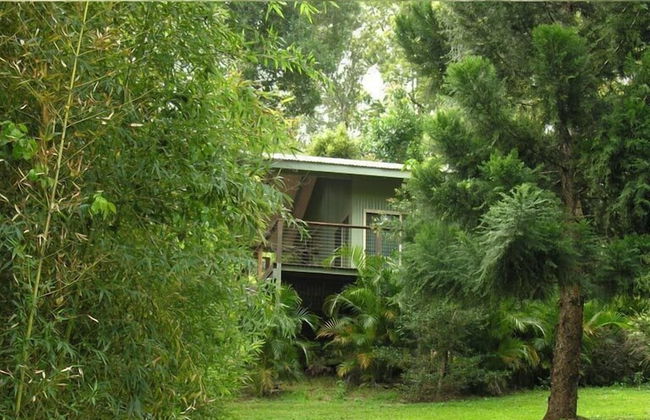 Treetops Accommodation Montville - Foto 65