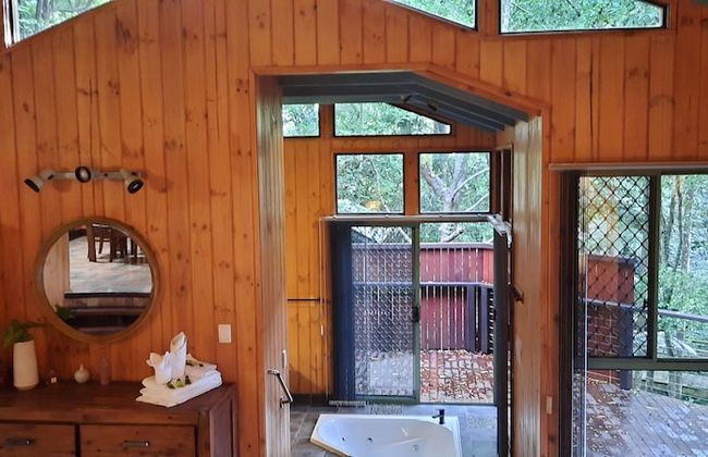 Treetops Accommodation Montville - Foto 1