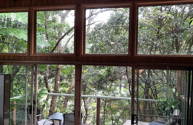 Treetops Accommodation Montville - Foto 39