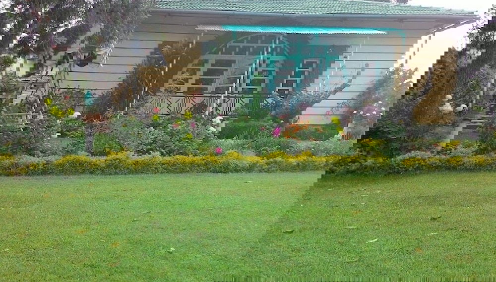 Imagem principal