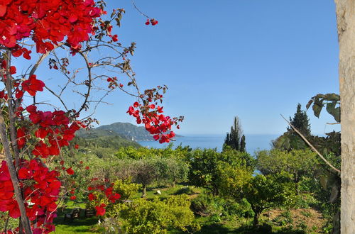 Photo 7 - House Lemoni, Apartment C - Pelekas, Corfu