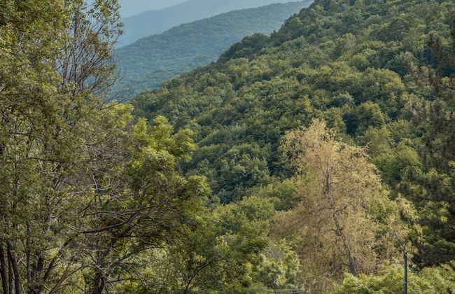 Apricot Aghveran Resort - Foto 77