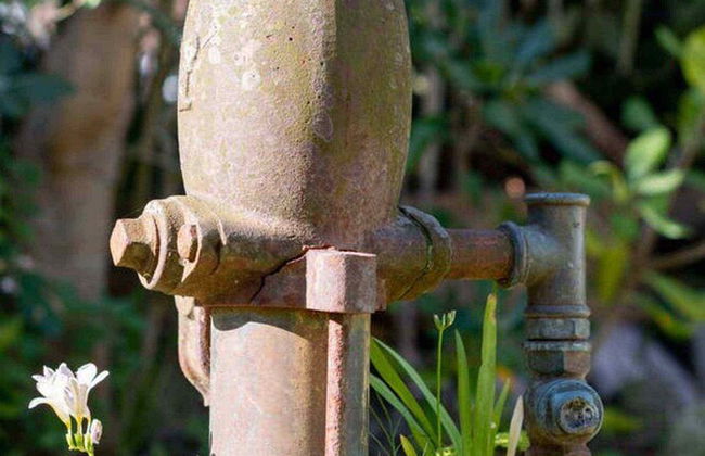 Beach House in La Floresta, Uruguay - Photo 24