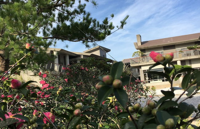 Apex Villa - Photo 61