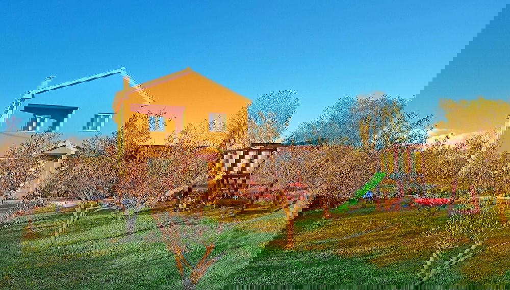 Imagem principal