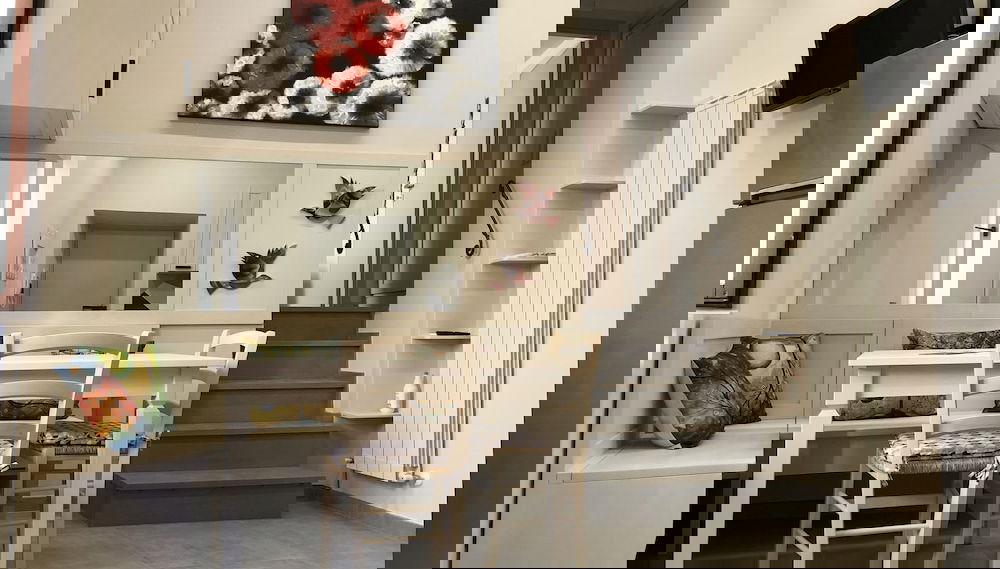 Immagine principale