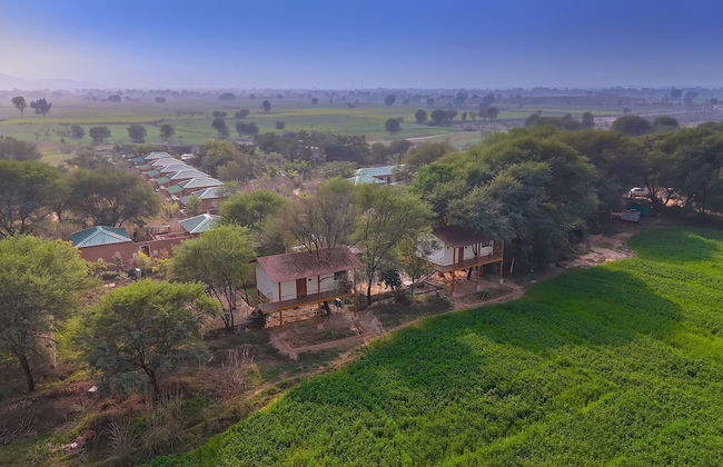 Bagh Serai - Foto 43