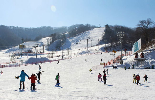 Elf Resort Hotel - Photo 3