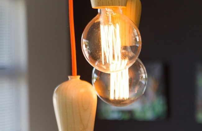 WINK Quiver Tree - Foto 32