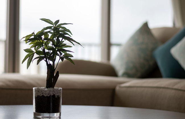 COZY STAY in Naha - Photo 44