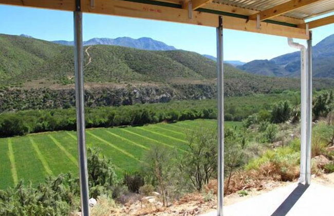 Matjiesvlei Guest Farm - Foto 31