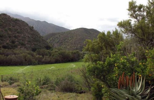 Matjiesvlei Guest Farm - Foto 35