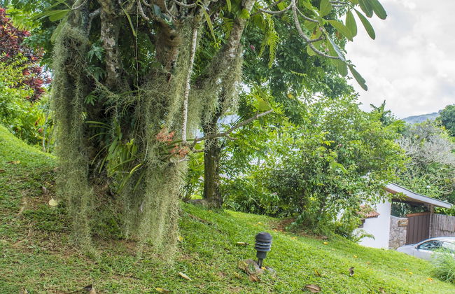 Anse Soleil Resort Self Catering - Foto 24