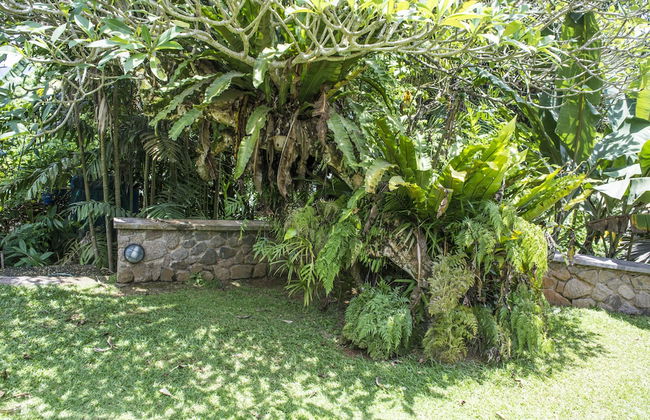 Anse Soleil Resort Self Catering - Foto 21