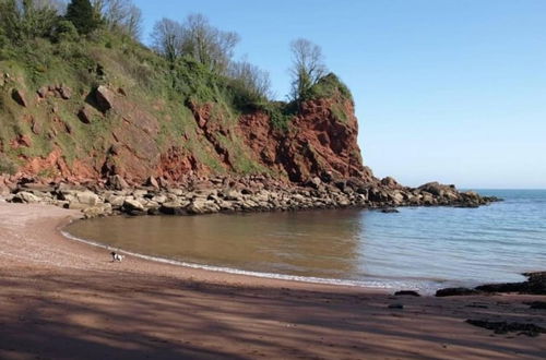 Photo 32 - Lovely Stunning 2-bed Cottage in Torquay