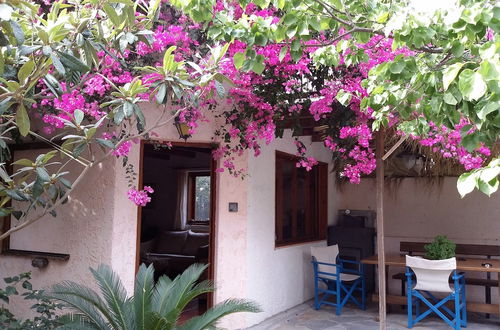 Photo 11 - Exclusive Cottage in S. West Crete in a Quiet Olive Grove Near the Sea