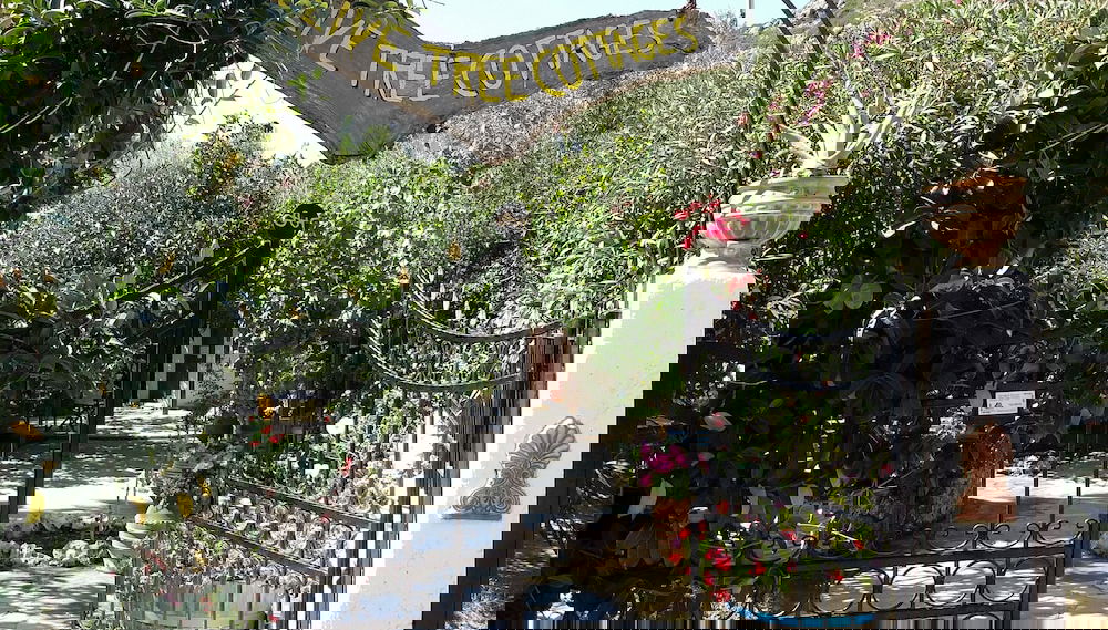 Image principale