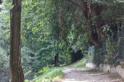 Photo 13 - Una Casa nel Verde di Bologna by Wonderful Italy