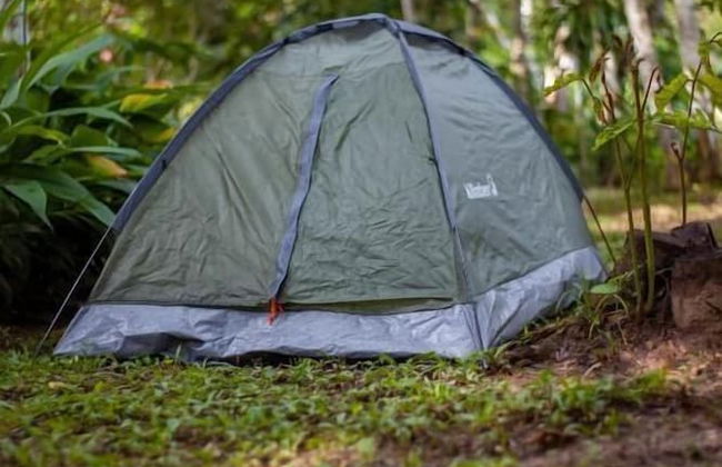 Tronco Tambopata Adventure - Foto 38