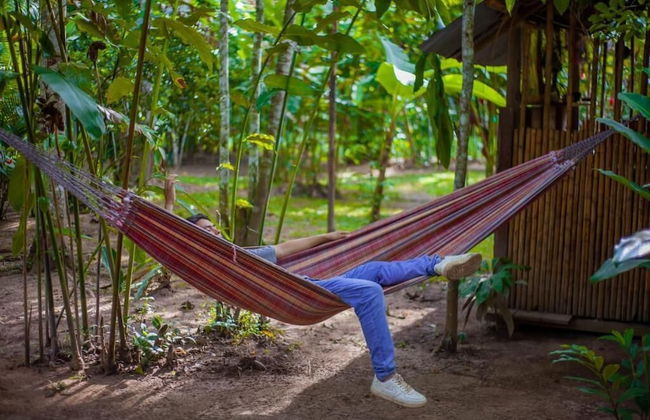 Tronco Tambopata Adventure - Foto 59