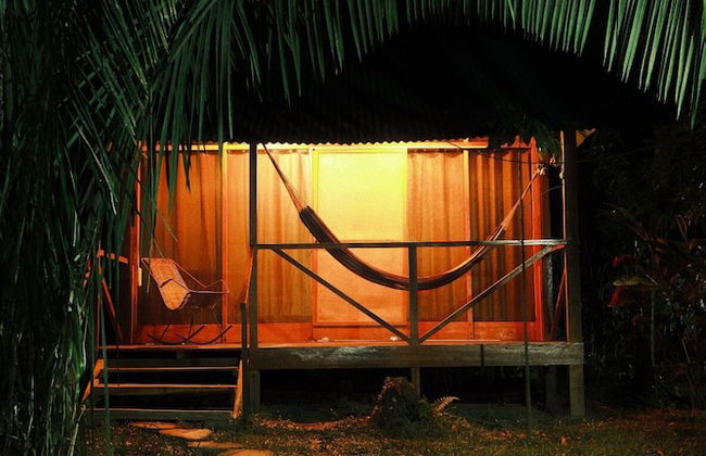 Tronco Tambopata Adventure - Foto 16