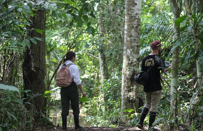 Tronco Tambopata Adventure - Foto 28