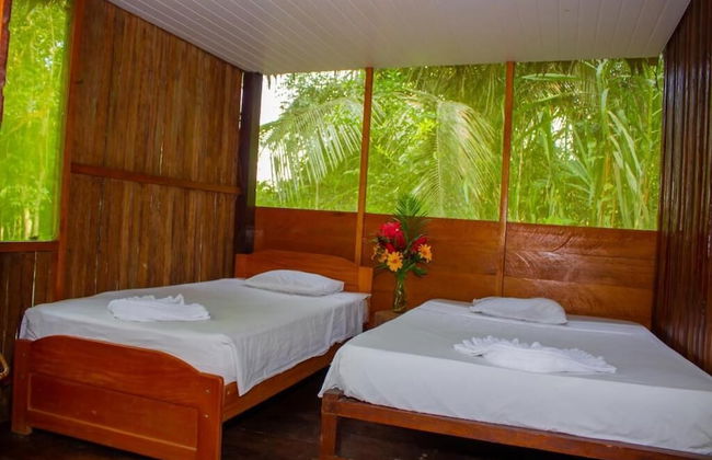 Tronco Tambopata Adventure - Foto 5