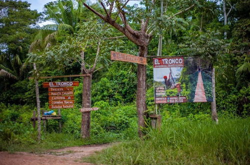 Photo 42 - Tronco Tambopata Adventure