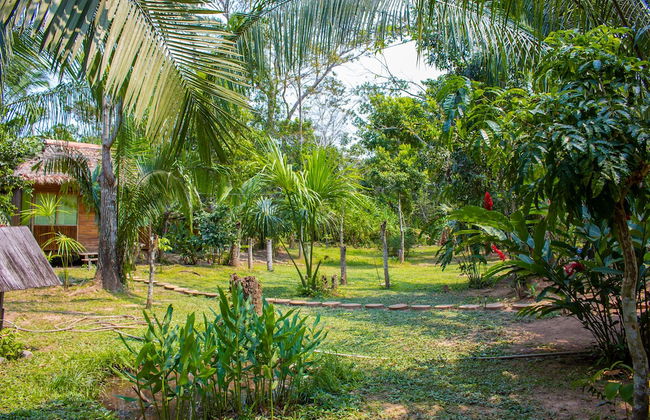 Tronco Tambopata Adventure - Foto 60