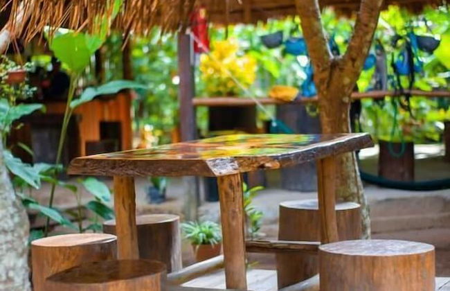 Tronco Tambopata Adventure - Foto 53