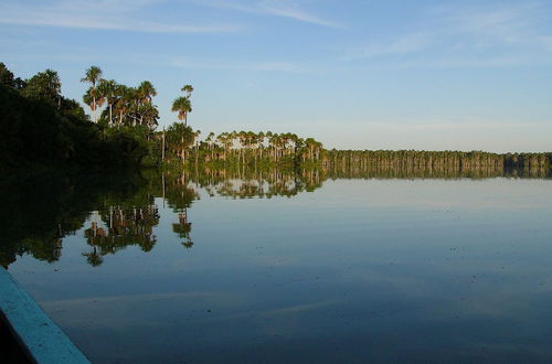 Photo 31 - Tronco Tambopata Adventure