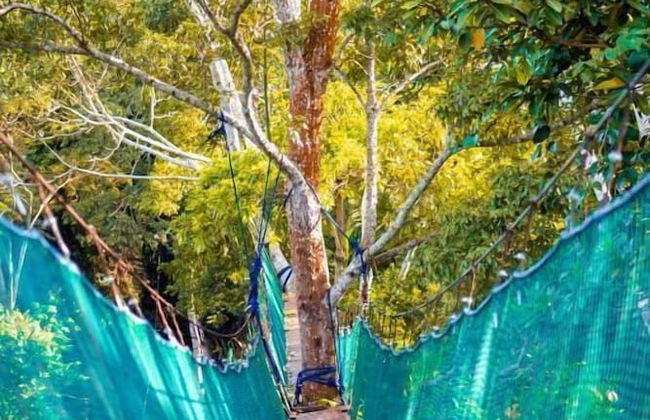 Tronco Tambopata Adventure - Foto 40