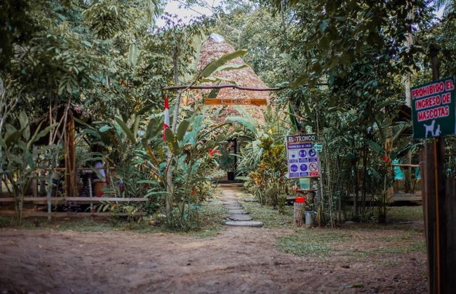 Tronco Tambopata Adventure - Foto 6