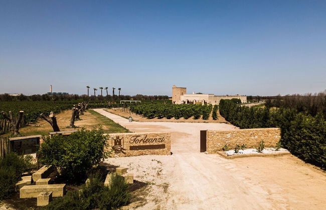 Masseria Torleanzi - Wine Relais - Foto 42