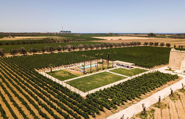 Masseria Torleanzi - Wine Relais - Foto 26