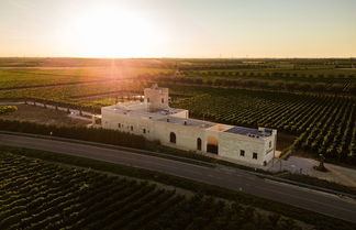 Photo 1 - Masseria Torleanzi - Wine Relais