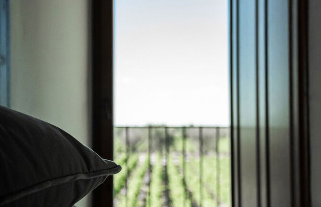 Masseria Torleanzi - Wine Relais - Foto 14