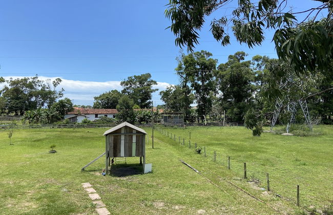 Haras Trevo de Ferro - Foto 20
