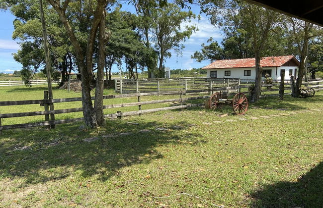 Haras Trevo de Ferro - Foto 33