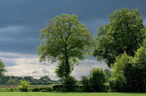 Photo 17 - Thatched Barn With Beautiful View