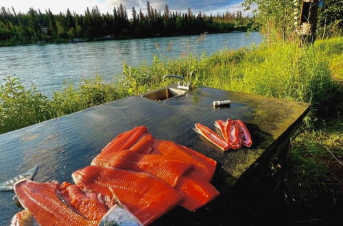 Photo 59 - Joy's Kenai River Cabins