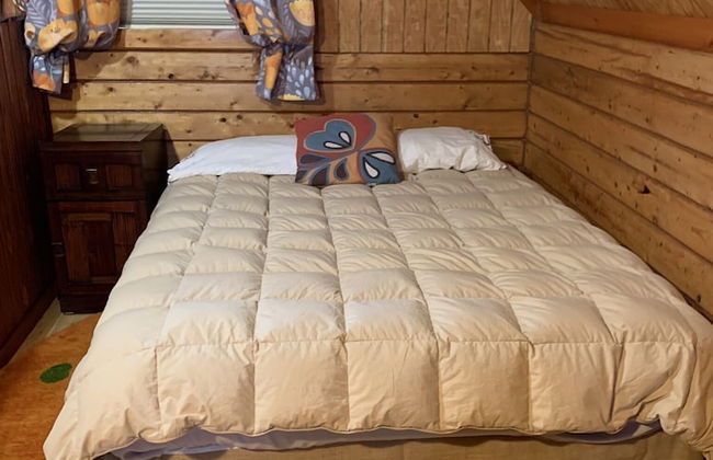 Joy's Kenai River Cabins - Foto 25